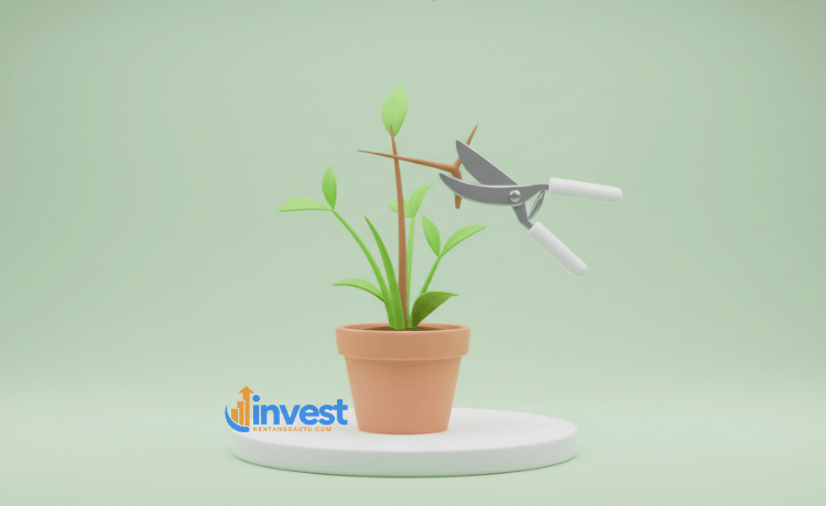 Tại sao phải hành động ngay?