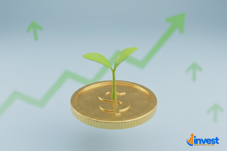 Lời khuyên cho người mới bắt đầu