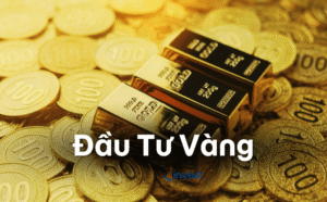 Đầu tư Vàng cho người mới: Cách mua tích trữ không bị “đu đỉnh”