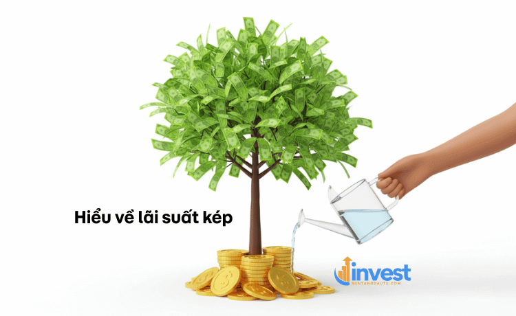Hiểu về lãi suất kép