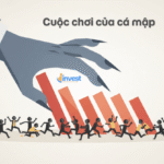 Bí kíp tránh bẫy giảm giá Bear Trap cho người mới bắt đầu