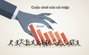 Bí kíp tránh bẫy giảm giá Bear Trap cho người mới bắt đầu