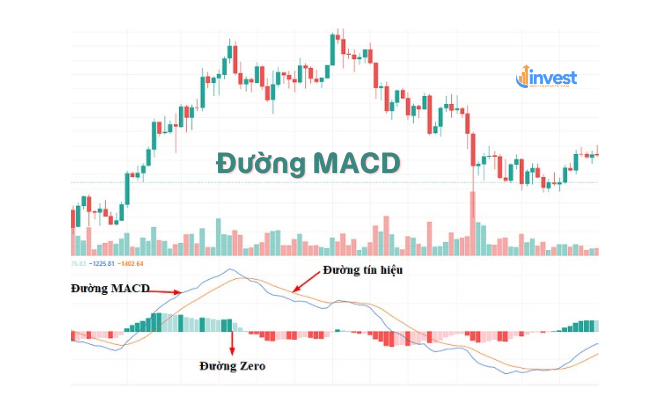 "Bộ máy" bên trong MACD gồm những gì?