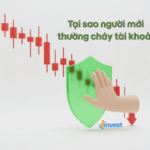 Kỷ luật trong đầu tư: Bí quyết sống sót khi chứng khoán sập sàn