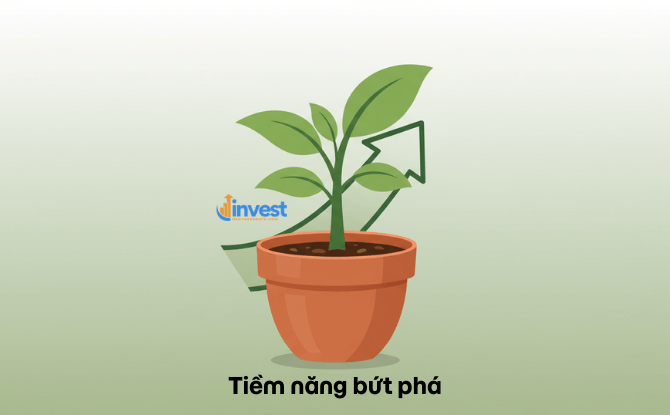 Tại sao Midcap lại hấp dẫn?