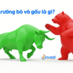 Cách nhận diện thị trường Bò và Gấu cực dễ hiểu cho nhà đầu tư F0