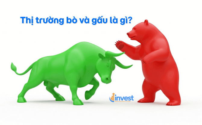 Cách nhận diện thị trường Bò và Gấu cực dễ hiểu cho nhà đầu tư F0