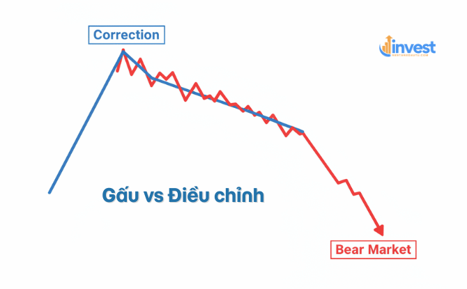 Nhầm giữa Gấu và Điều chỉnh (Correction)