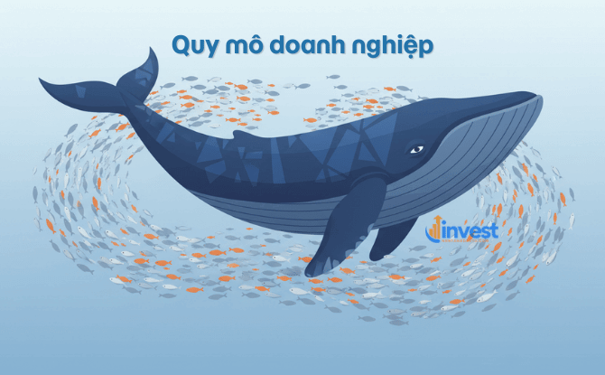 Cách xác định quy mô doanh nghiệp