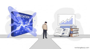 Kỷ luật đầu tư: Bí quyết tránh bẫy hiệu ứng “Cửa sổ vỡ”